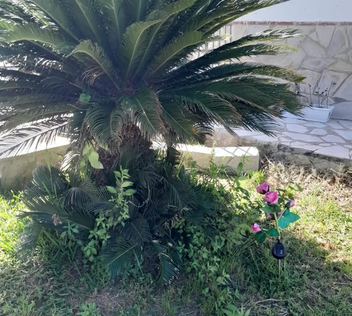 La Rana Azul Bed & Breakfast Velez Malaga
