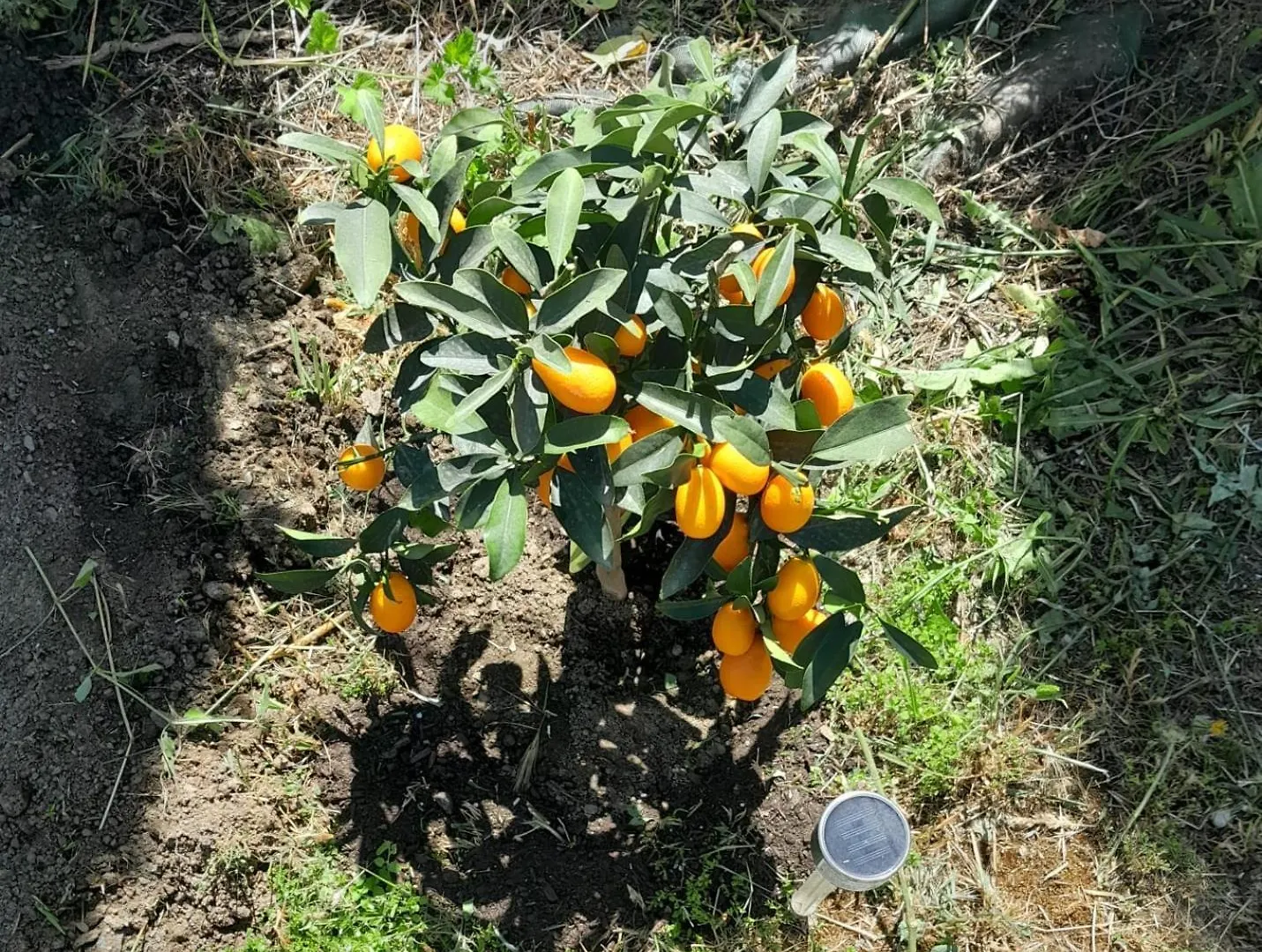 فندق مبيت وإفطار مبيت وإفطار فيليز-مالاغا La Rana Azul إسبانيا
